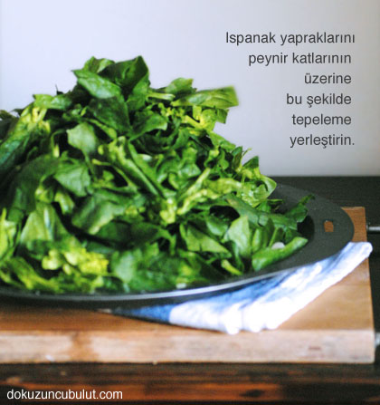 ıspanaklı pizza